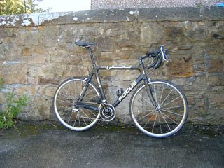 My Focus Cayo Road Bike